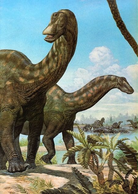 Le dinosaure Patagosaurus.