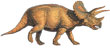Dinosaure : Ordre des Ornithischiens / Sous-ordre des Marginocéphales.