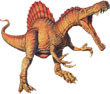 Dinosaure : Ordre des Saurischiens / Sous-ordre des Théropodes.