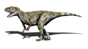 Le dinosaure Megalosaurus.