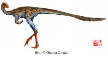 Xinjiangovenator.