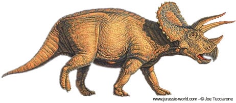 Tricératops.