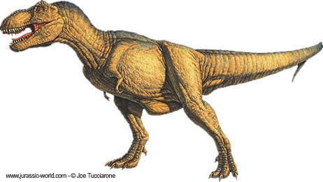 Un dinosaure Tyrannosaure, ou T rex.