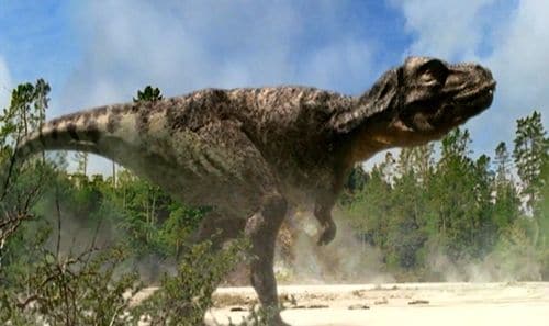 Tyrannosaurus (T. rex) en chasse...