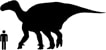 Taille d'un Iguanodon par rapport à celle d'un homme.