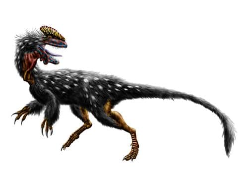 Le dinosaure Guanlong wucaii.