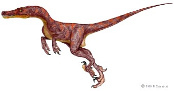Dinosaure vélociraptor.