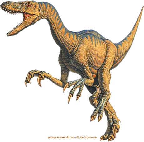 Dinosaure velociraptor.