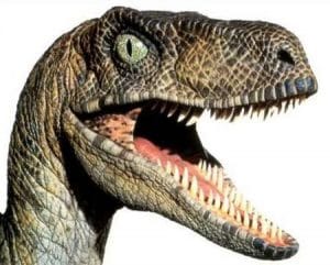 Un Velociraptor la gueule ouverte montrant ses grandes dents.