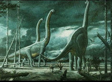 Un troupeau de dinosaures Brachiosaurus.