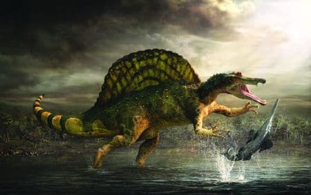 Le dinosaure spinosaurus.