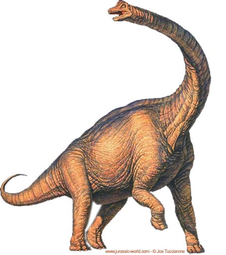 Brachiosaure.