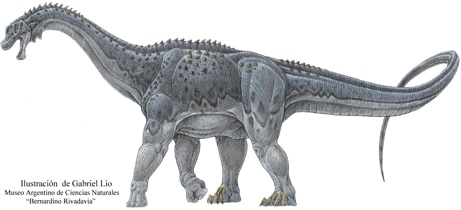 Puertasaurus.