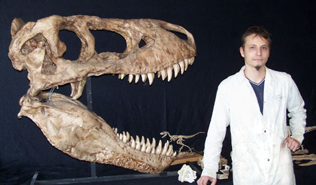 Reproduction d'un crâne de Tarbosaurus à l'échelle 1.