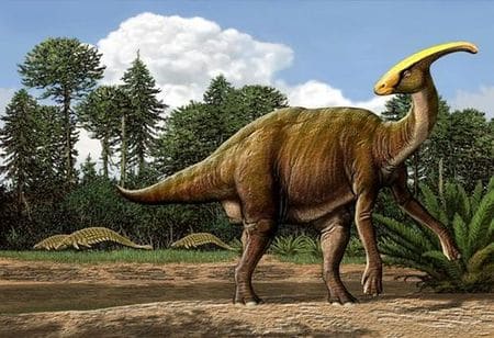 Parasaurolophus.
