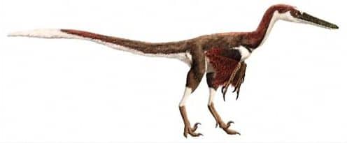 Le dinosaure Austroraptor.
