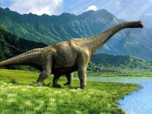 Le dinosaure Apatosaurus, qui est en fait le bon nom du Brontosaure.