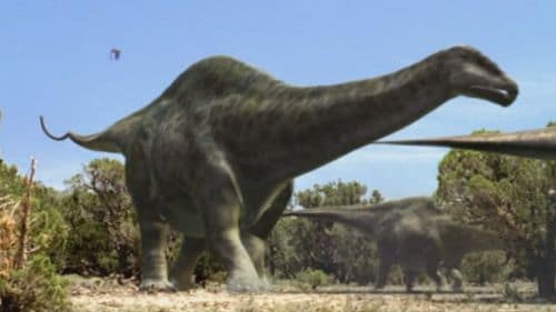 Le dinosaure Apatosaurus.