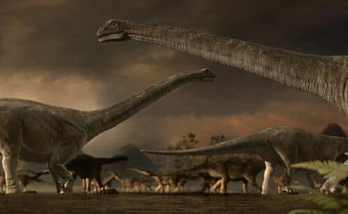 Des dinosaures Argentinosaurus.