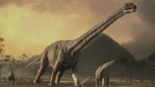 Un troupeau de dinosaures Argentinosaurus.