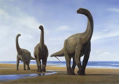Un groupe de dinosaures Camarasaurus.