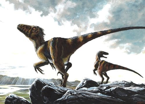 Deinonychus en chasse, ce dinosaure était un redoutable prédateur, certainement capable de traquer des proies en meute.