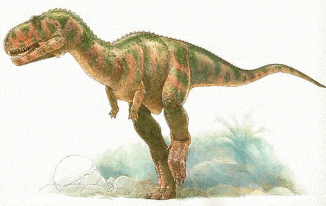 Dinosaure Abelisaurus.