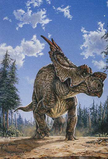 achelousaurus.jpg