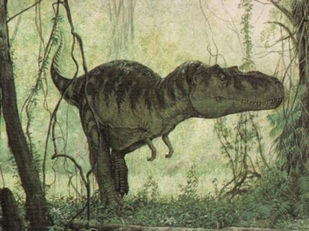 Un dinosaure Albertosaurus (Albertosaure).