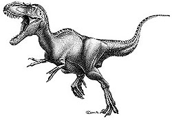 Albertosaurus.