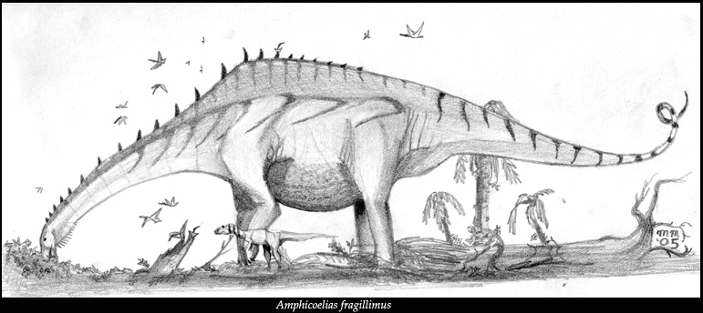 amphicoelias.