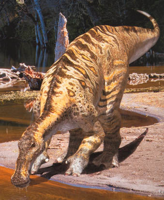 Un dinosaure Anatotitan.