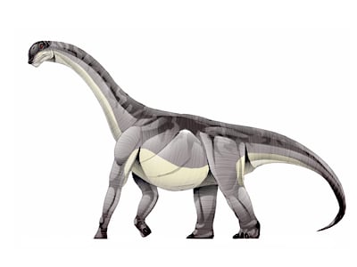 Dinosaure Aragosaurus.