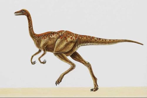 archaeornithomimus.