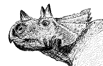 avaceratops.