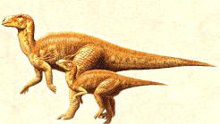 bactrosaurus.
