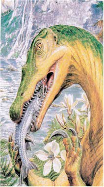 Baryonyx.