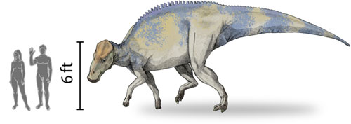 Dessindebrachylophosaurus.