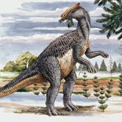 brachylophosaurus.