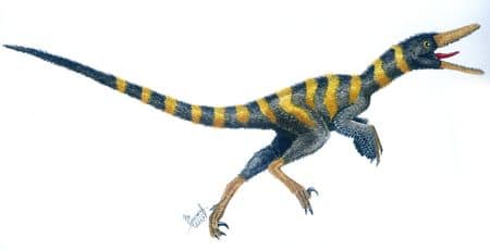 Buitreraptor.