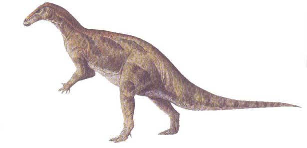 camptosaurus.