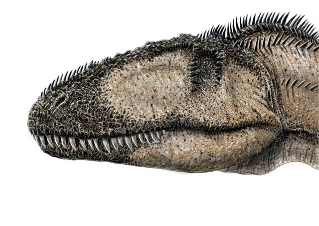 Carcharodontosaurus.