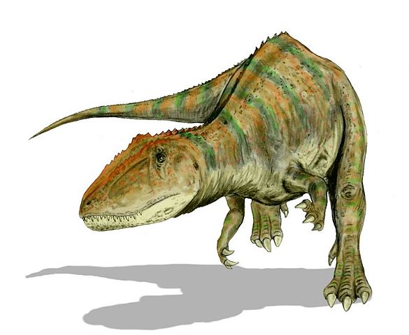 Carcharodontosaure.
