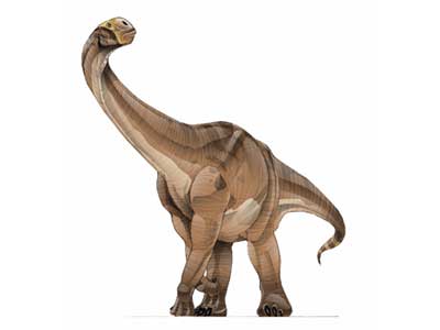 cetiosaurus.