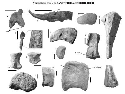 Dinosaure Chebsaurus.