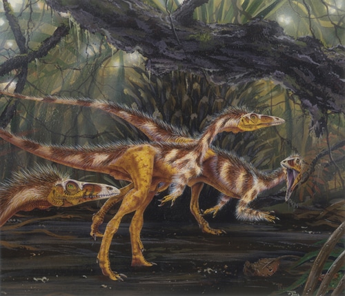 Groupe de dinosaure Compsognathus en chasse, c'était un petit théropode carnivore.