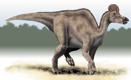 corythosaurus.