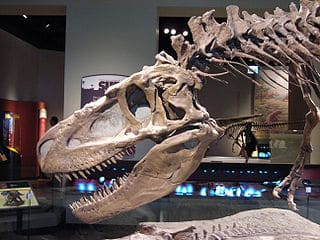 daspletosaurus.