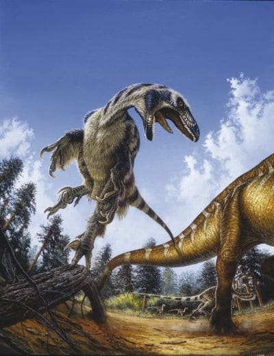 Le dinosaure Deinonychus.