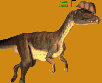 Le dinosaure Dilophosaure.